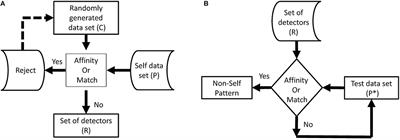 Artificial Immune System–Negative Selection Classification Algorithm (NSCA) for Four Class Electroencephalogram (EEG) Signals